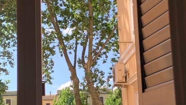 A view from a window overlooking a tree and a building with a yellow wall and a statue. - Rome: Central apartment, in the heart of Rome (Roma)