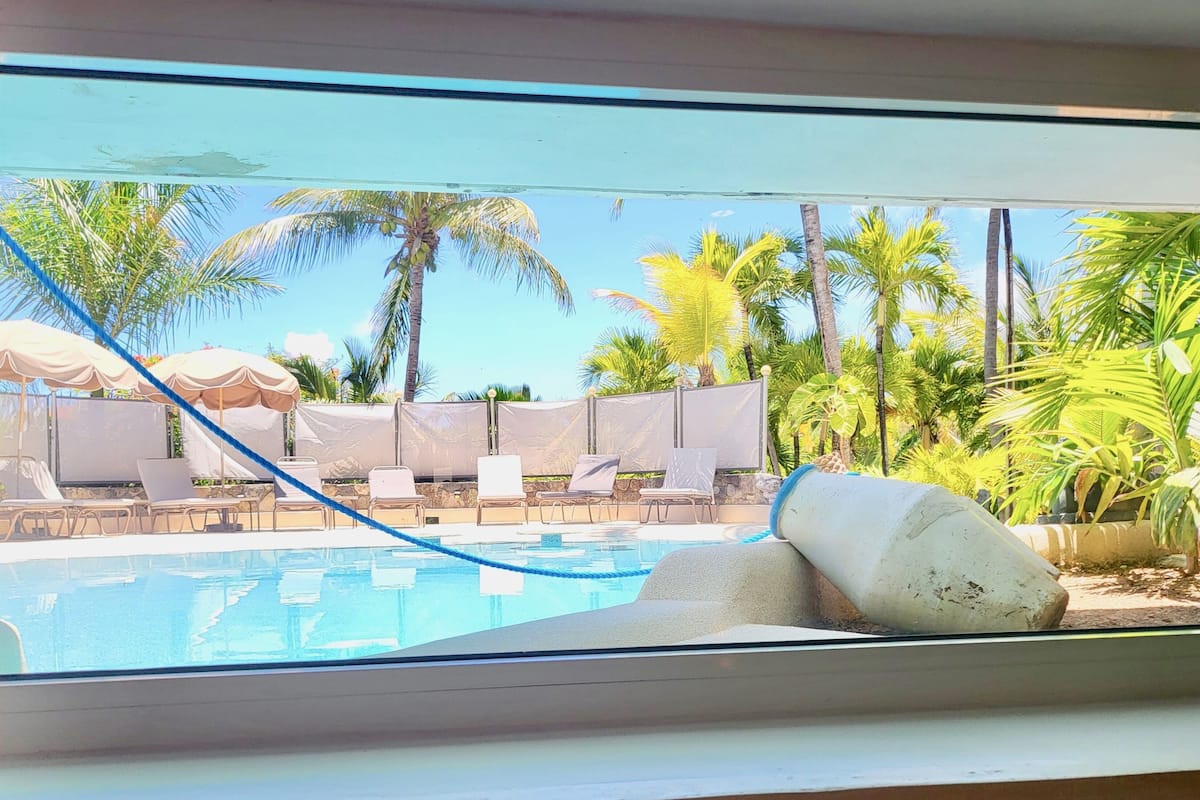 A poolside view with lounge chairs and umbrellas, palm trees, and a clear sky.