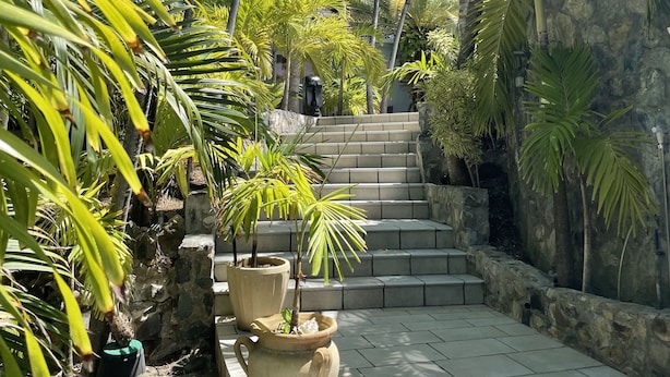 A stone staircase surrounded by lush greenery and potted plants. - Residence Adam & Eve (Orient Bay)