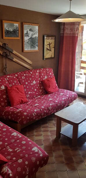 Televisio, DVD-soitin, kirjoja, videokirjasto