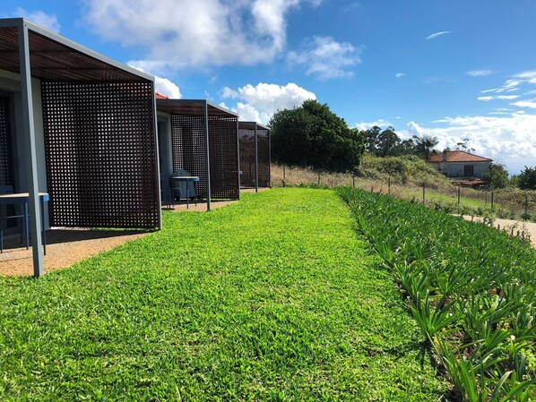 A modern outdoor area with a grassy path, metal structures, and a house in the background.