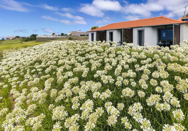 Exterior - In peaceful Prazeres | Qta. Inácia Orchid Studio (Prazeres)