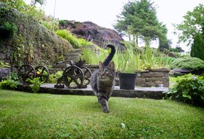 Property grounds - Traditional stone cottage in Barkisland. Superb views. Pet friendly. Four Stars. (Halifax)