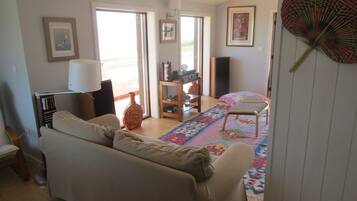 Smart TV, fireplace, video games, DVD player
