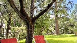 Two red lounge chairs under a tree in a grassy park area.