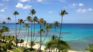 A beach with palm trees and a clear blue sky.