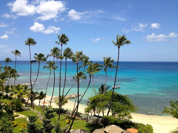 A beach with palm trees and a clear blue sky.