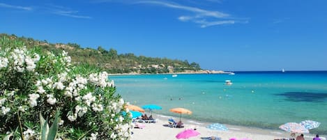 Playa en los alrededores y camastros