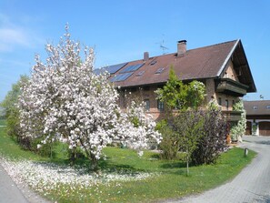 Udendørsområde