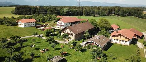 Ulkopuoli