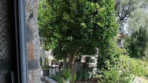 A garden with potted plants and a stone wall. - Countryside house with garden and natural pool. (Póvoa de Lanhoso)