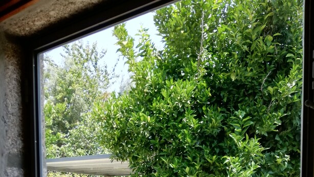 A view through a window of a stone wall, a wooden bench, and a garden with various plants and a pergola. - Countryside house with garden and natural pool. (Póvoa de Lanhoso)