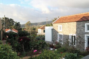 Property grounds - In peaceful Prazeres | Qta. Inácia Hibiscus Studio (Prazeres)