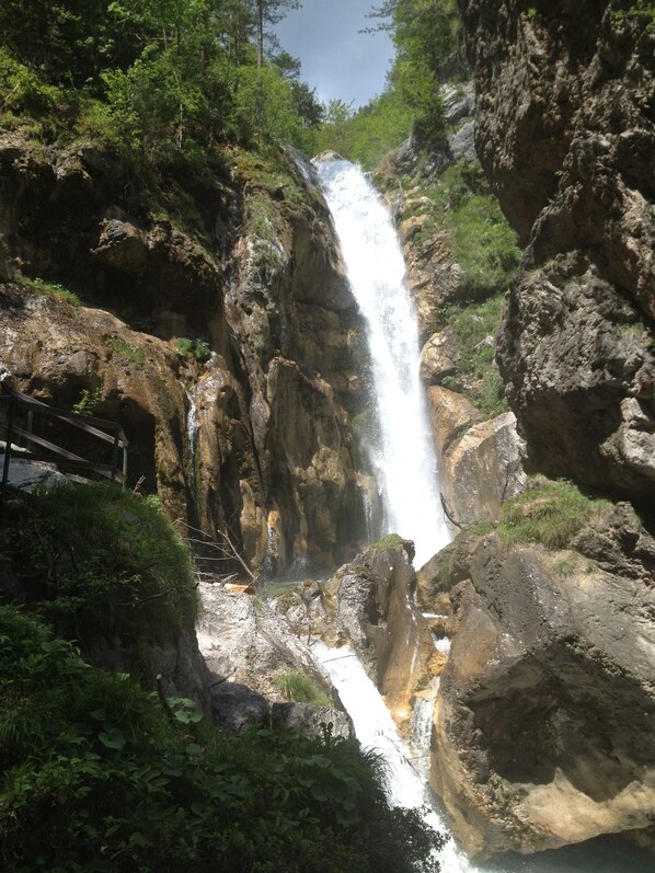 Una cascada se precipita por un acantilado rocoso rodeado de exuberante vegetación.