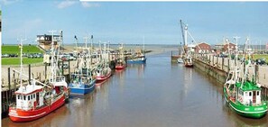 A marina with multiple boats docked in calm waters.