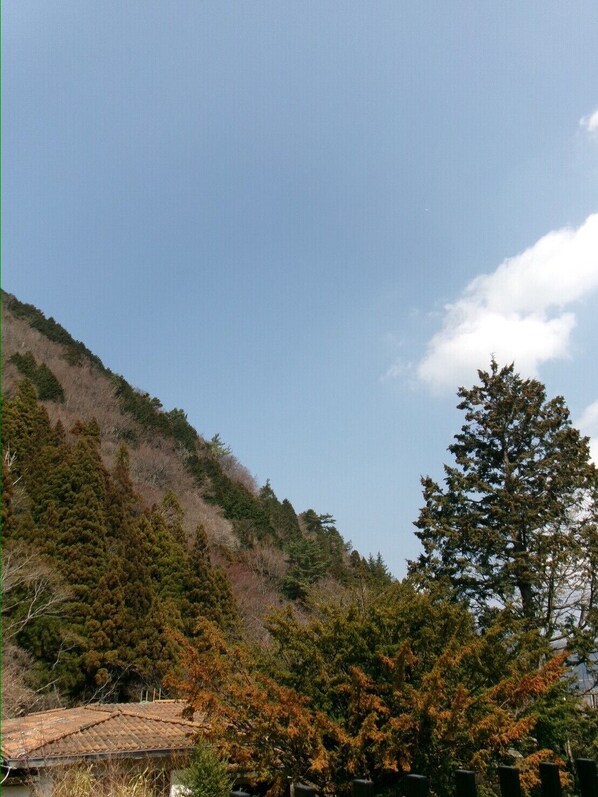 Un paisaje montañoso con cielo despejado, un árbol de hoja perenne destacado y un edificio con tejado de tejas.