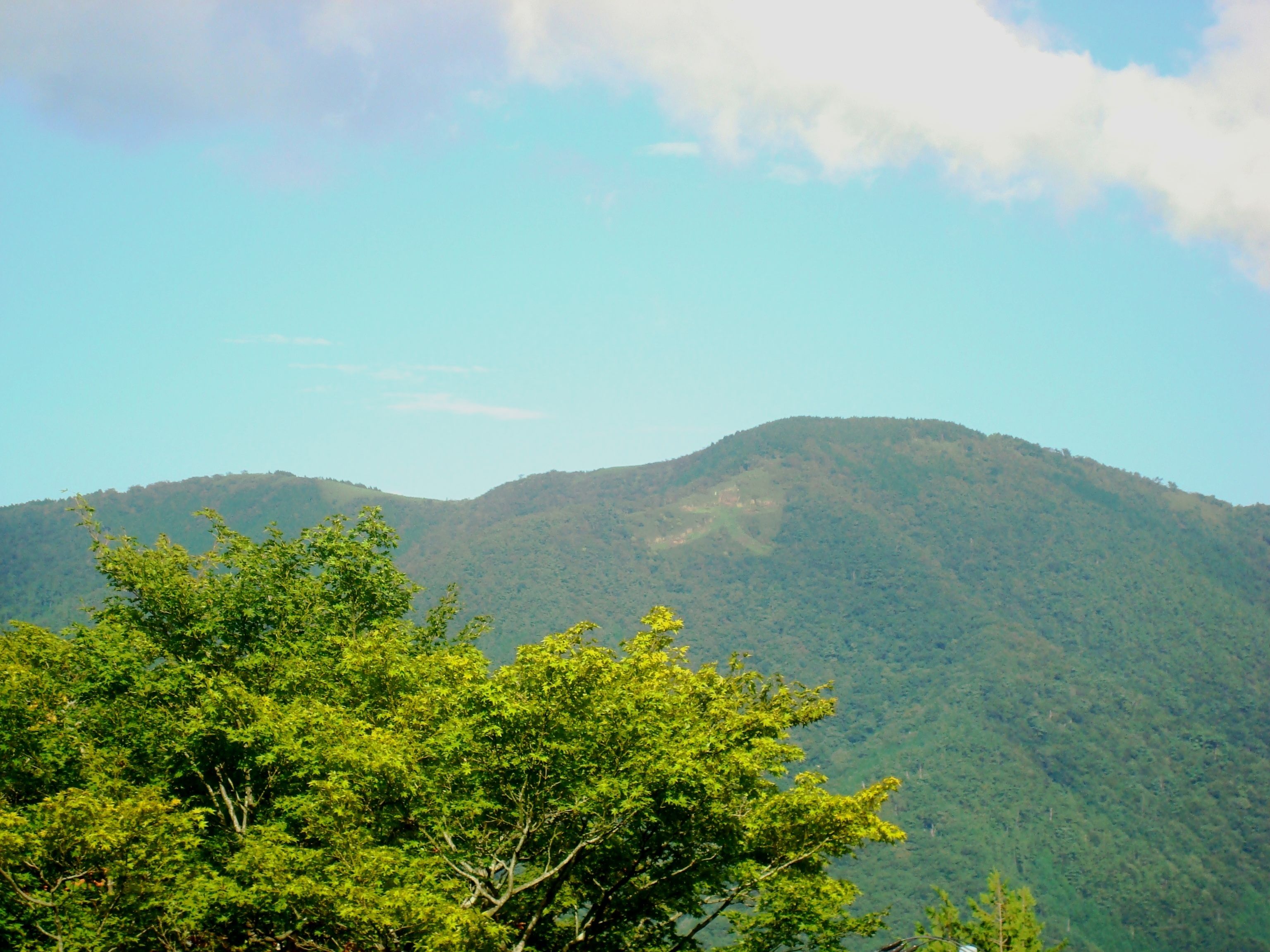 A mountain landscape with dense green foliage in the foreground and a clear sky.