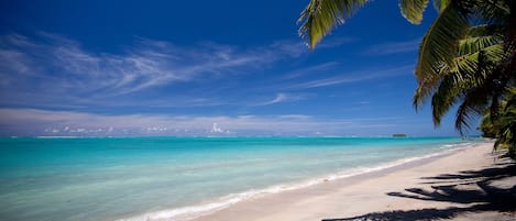Plage privée, sable blanc, plongée avec masque et tuba, bar sur la plage