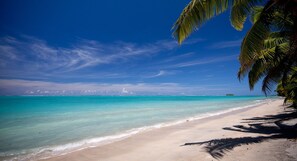 A beach with clear turquoise water, a sandy shore, and palm trees.