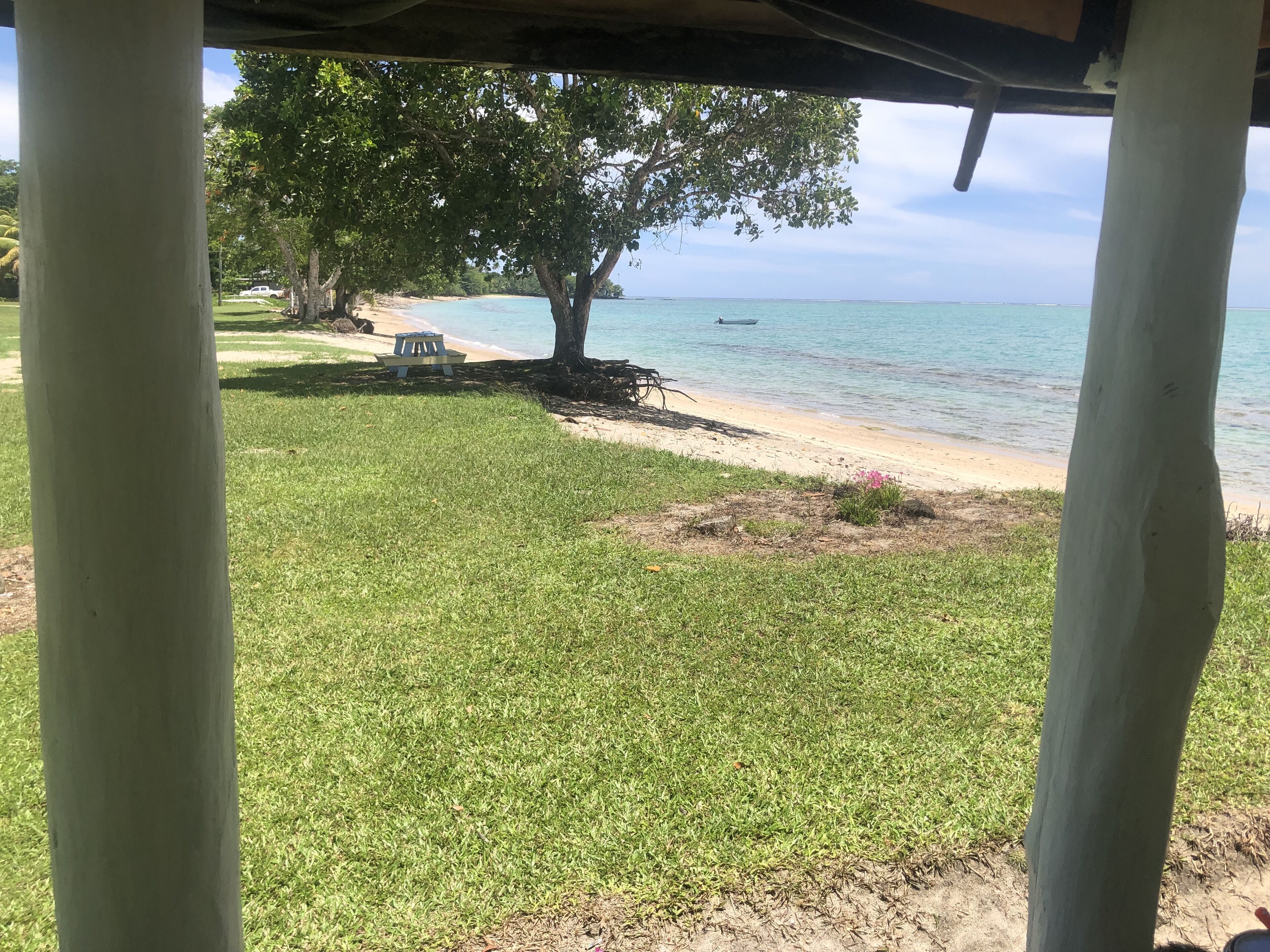 Vista de una playa con zona verde, un banco de madera y un árbol.