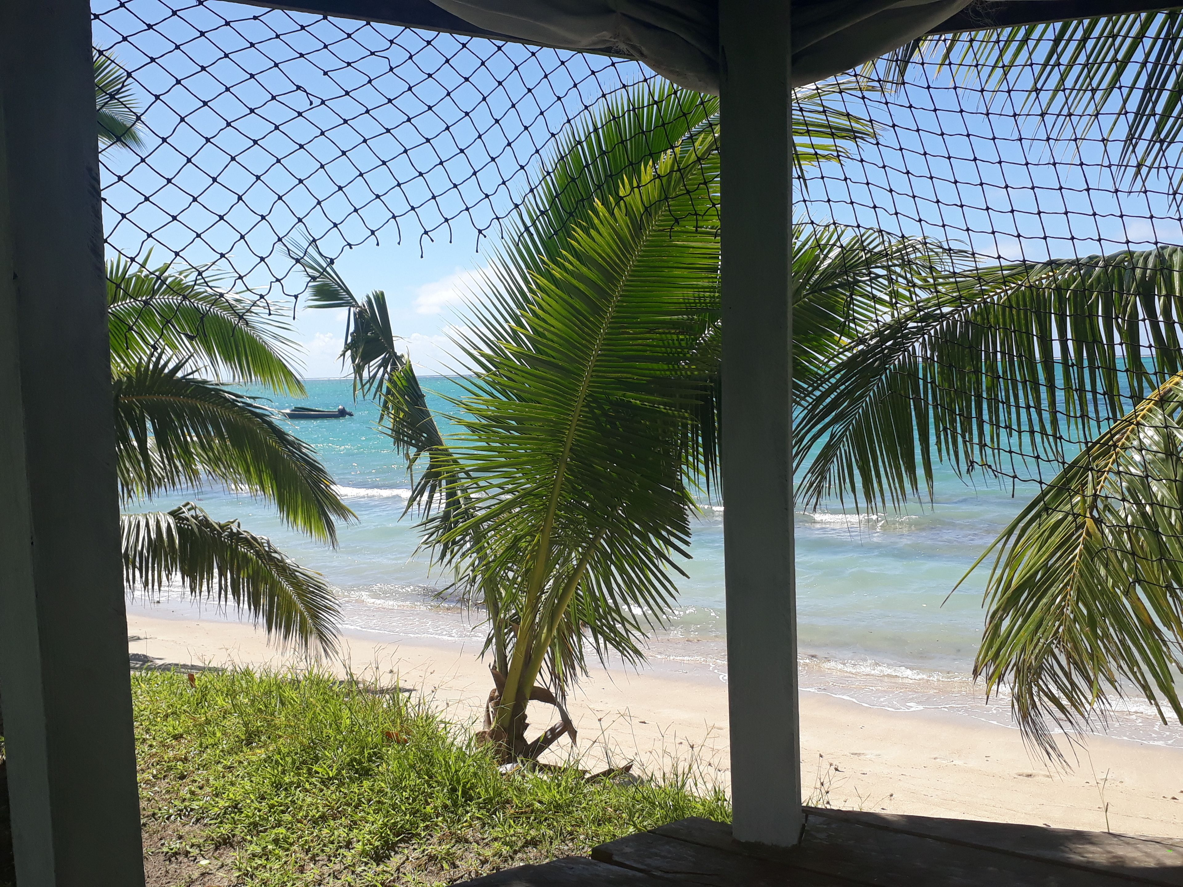 A beach view through a netted structure with palm trees and a boat in the water.
