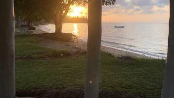 A beach scene with a sunset, a boat on the water, and a tree in the foreground.
