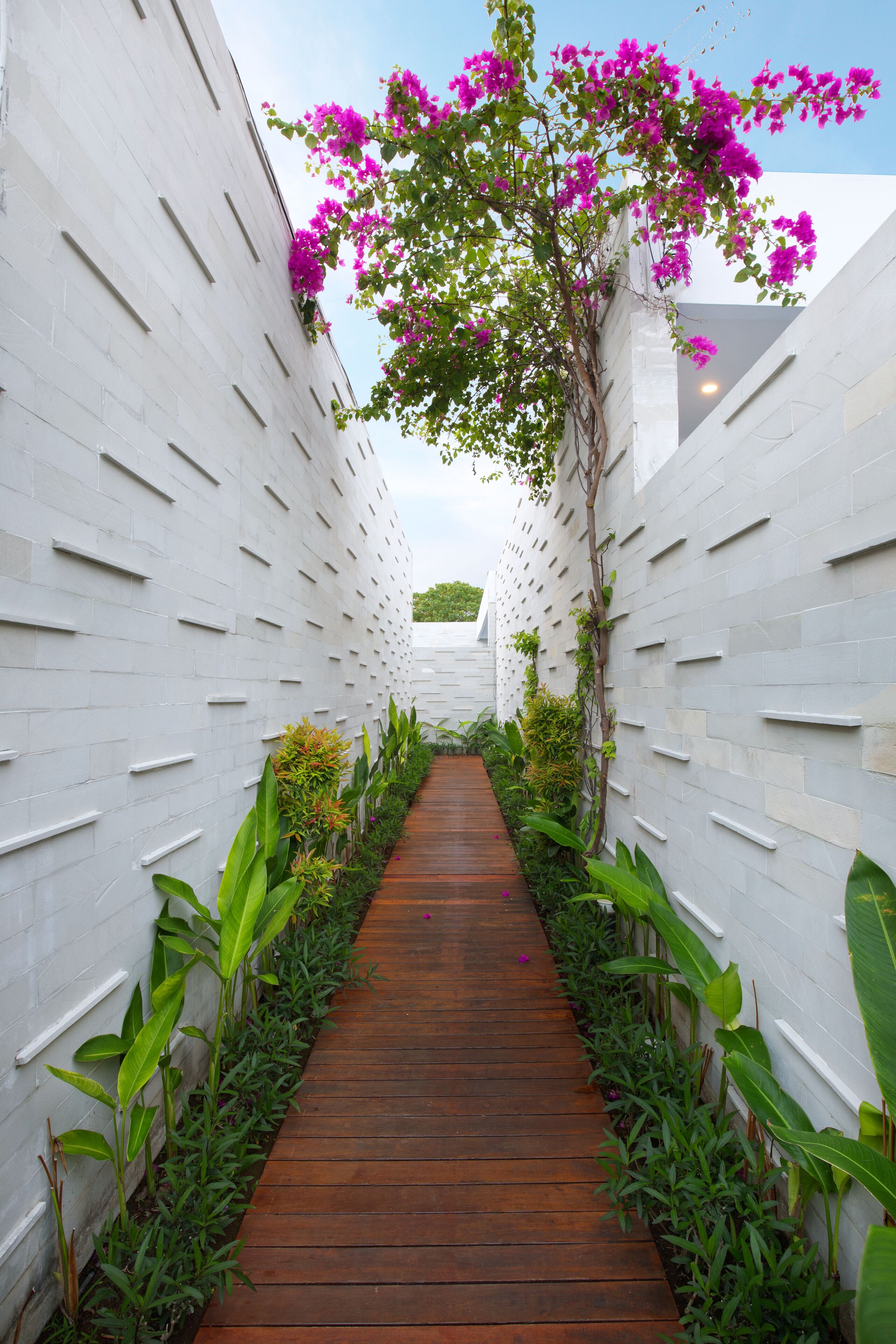 A narrow wooden pathway flanked by white walls with vertical indentations, leading to a building.