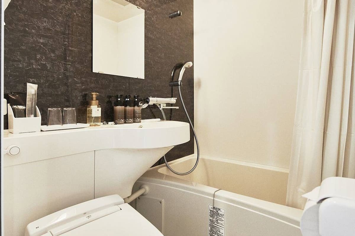 shower, free toiletries, hair dryer, slippers