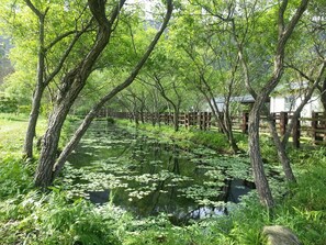 Ecotours - Guan Lun Hotel (Hualien City)