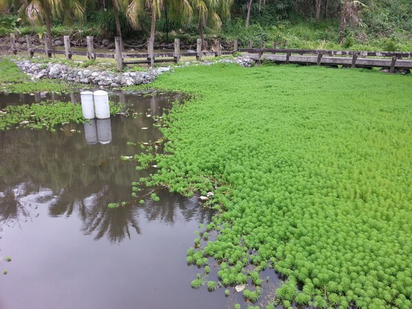 ท่องเที่ยวเชิงอนุรักษ์
