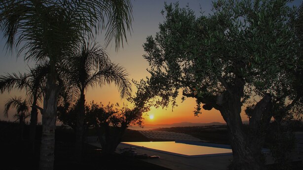 Vista al atardecer con palmeras y una piscina.