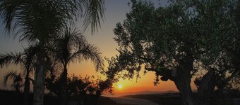 Punta Bianca Suite&Home Experience