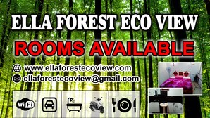 Chambres avec vue sur la forêt, accès Wi-Fi, parking et emplacement à 25 mètres.