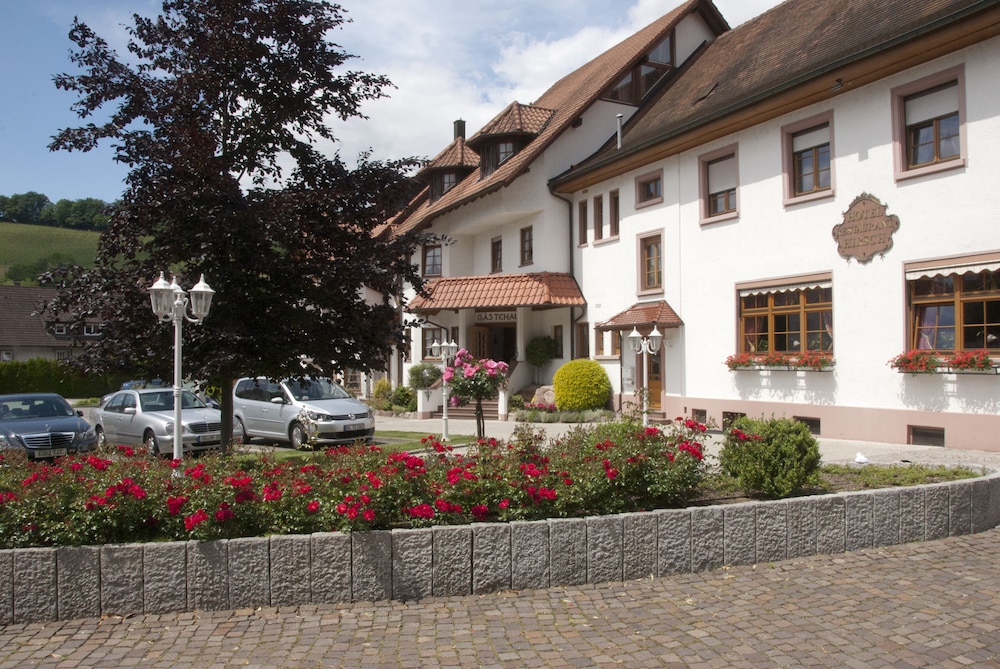 Hirsch image