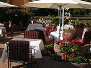 Terrasse/gårdhave