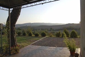 Eine überdachte Terrasse mit Blick auf sanfte Hügel und einen Baum.