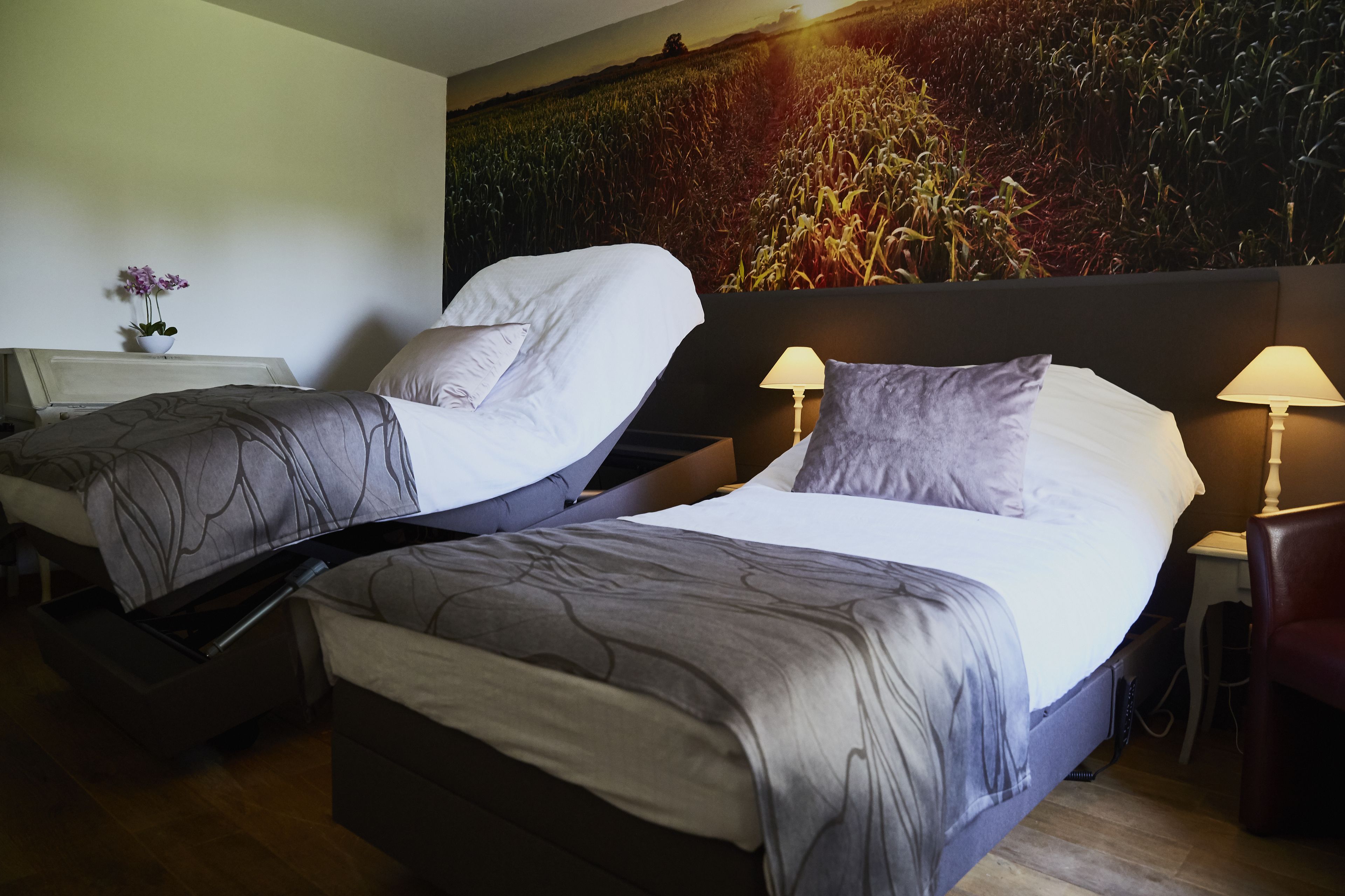 superior twin room | soundproofing, iron/ironing board, free wifi, bed sheets