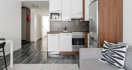 1BR Downtown Apt with Sauna, Hosts up to 8 Guests