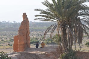 A desert landscape with a prominent rock formation and a palm tree. - Riad Freija (Freyja)