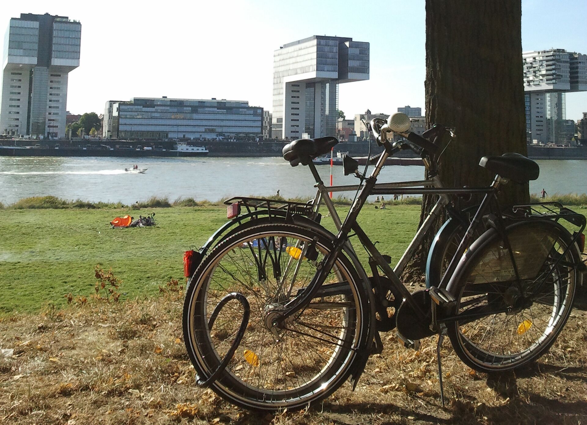 Foto - Pension am Helenenwall