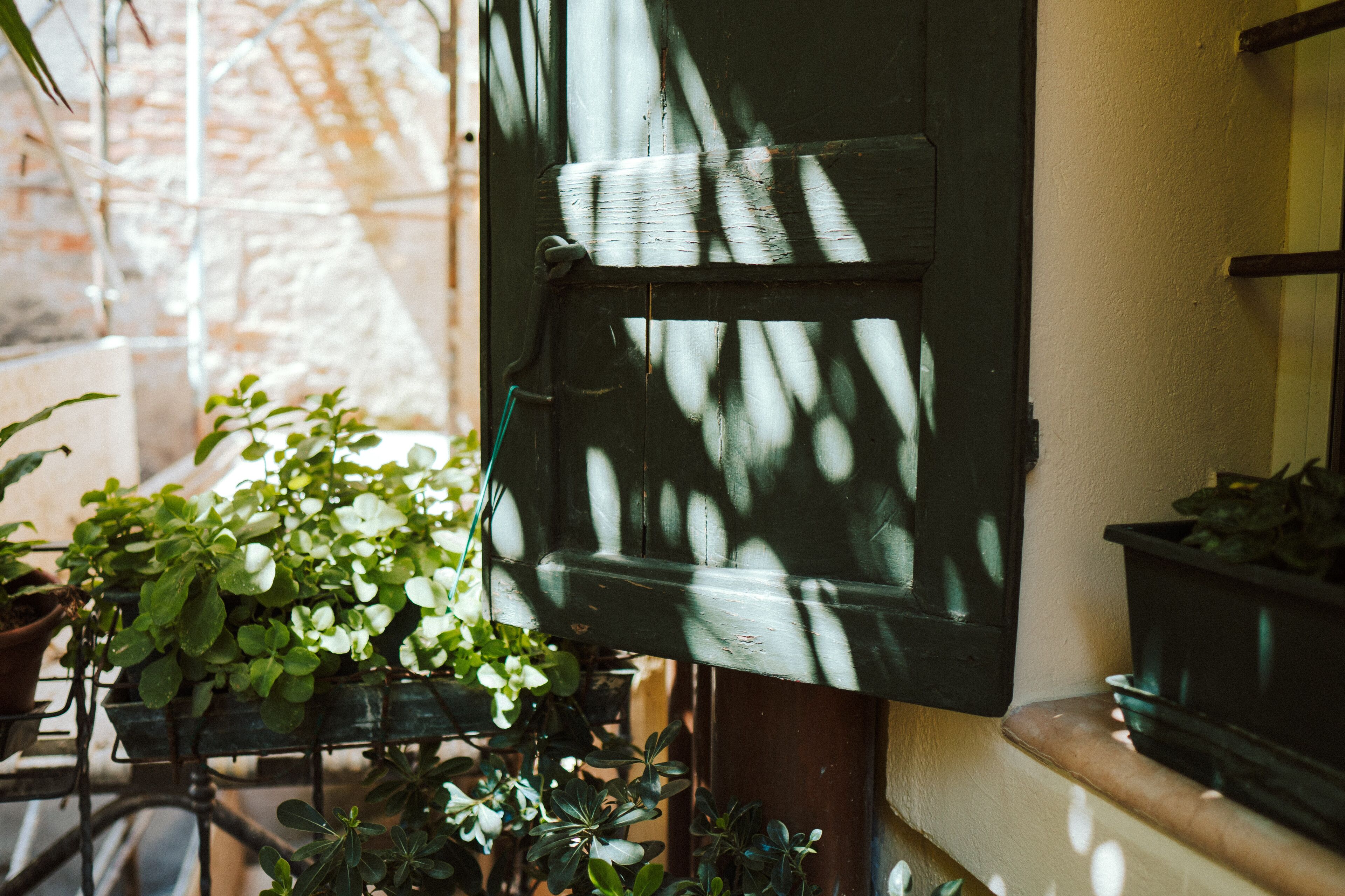 Foto - Romeo Giulietta