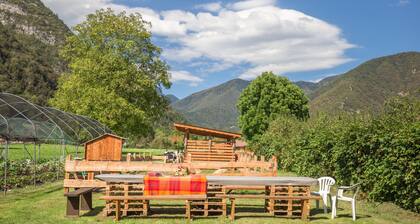 B&B Fattoria Dalla Patty