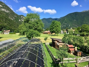Ansicht von oben