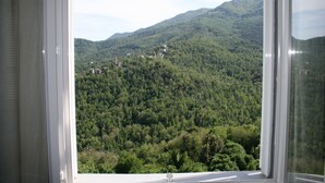 View from room - Le Refuge Orezza (Piedicroce)