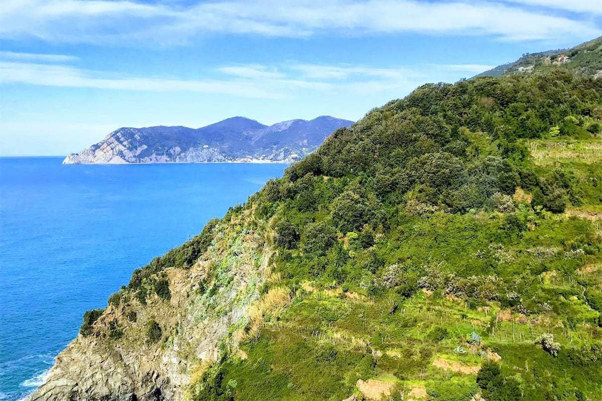 A coastal landscape with a rocky cliff, lush greenery, and a distant mountain range.