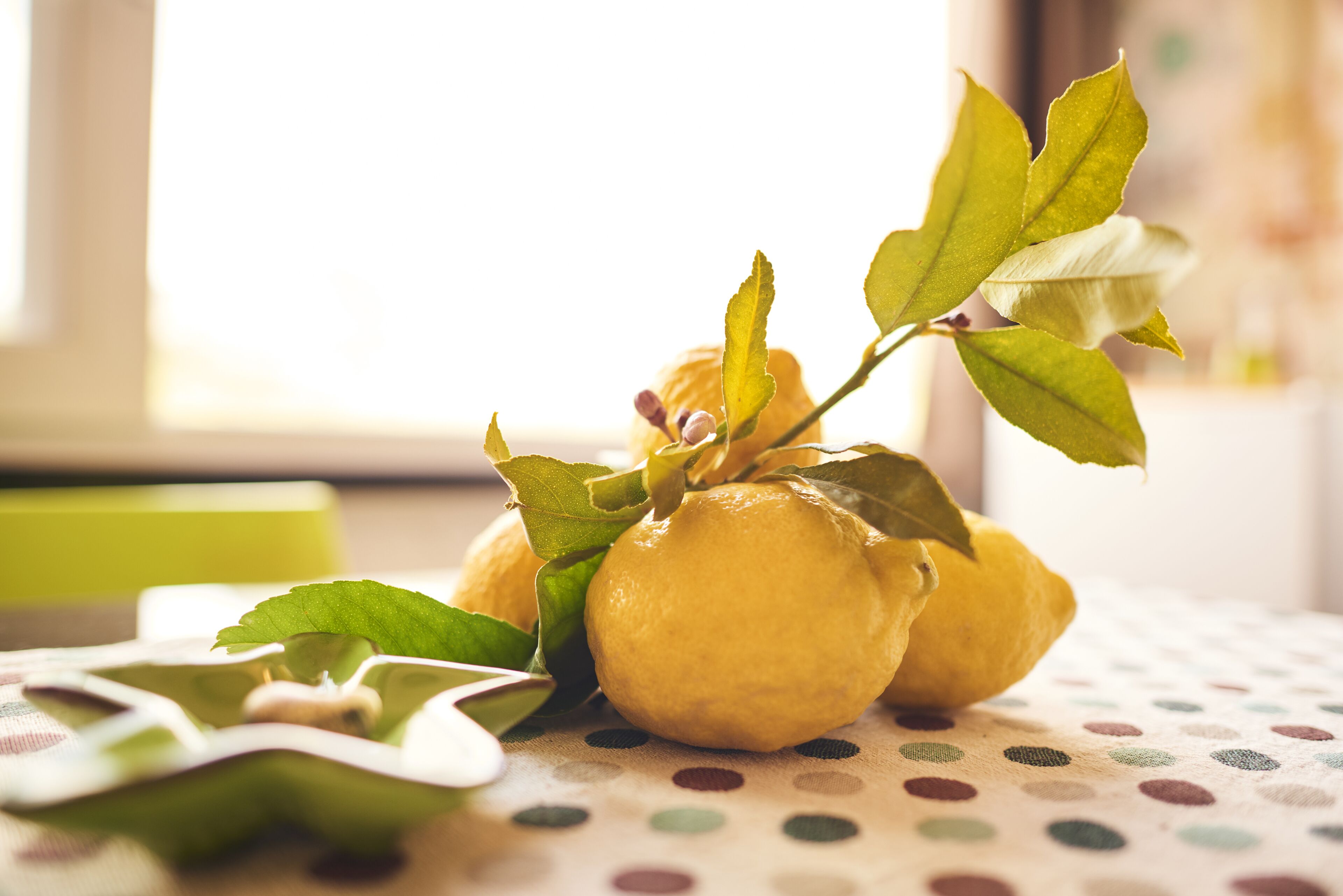 Limones con hojas sobre una mesa con mantel estampado de lunares.