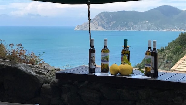 Una mesa con botellas y limones bajo un paraguas, con vista al mar.