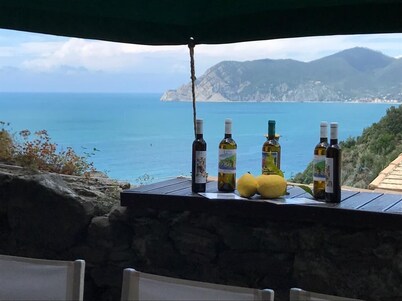 Il Magàn - Cinque Terre