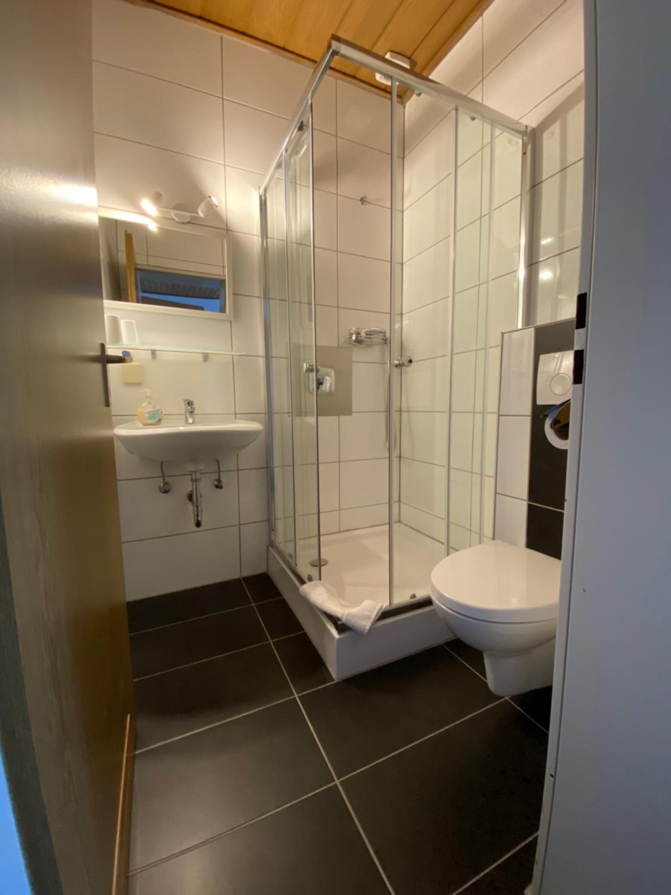 Een moderne badkamer met een glazen douchecabine, een witte wastafel en een toilet.