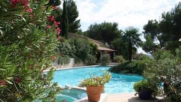 Outdoor pool, pool umbrellas, sun loungers